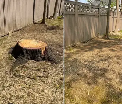 Stump Grinding & Removal – Fast, Affordable, Professional! Got ugly stumps in your yard? Let Gemini...