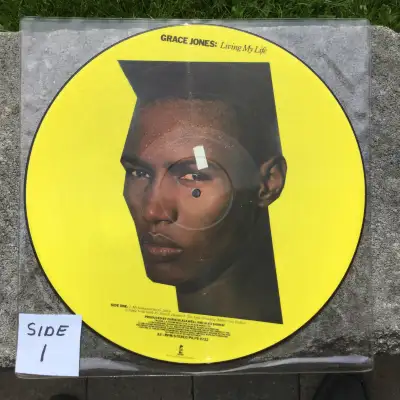 1982 UK IMPORT PICTURE DISC Record Grace Jones Living My Life LP, View more