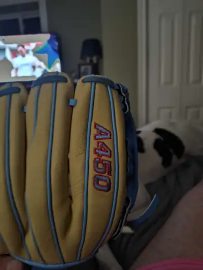 Wilson A 450 11.5 inch baseball glove , View more
