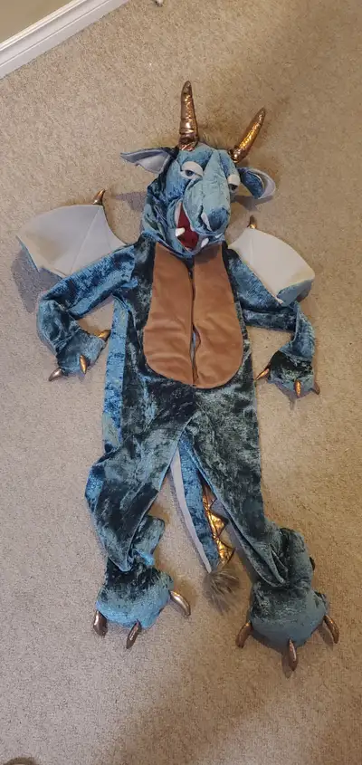 High quality 4T DRAGON COSTUME., View more