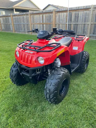 Absolutely mint shape kids Arctic Cat 90cc ATV. Automatic with reverse Electric start Auto choke(eas...