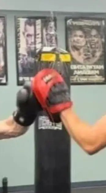 looking for boxer to train with