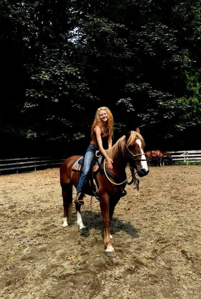 3 Quality Horses Available – Hope, BC Area in Equestrian & Livestock Accessories in Hope / Kent - Image 3