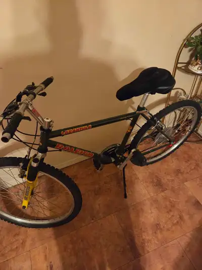 MINT CONDITION(RALEIGH tarantula)"21" speed mountain bike.A-1., View more