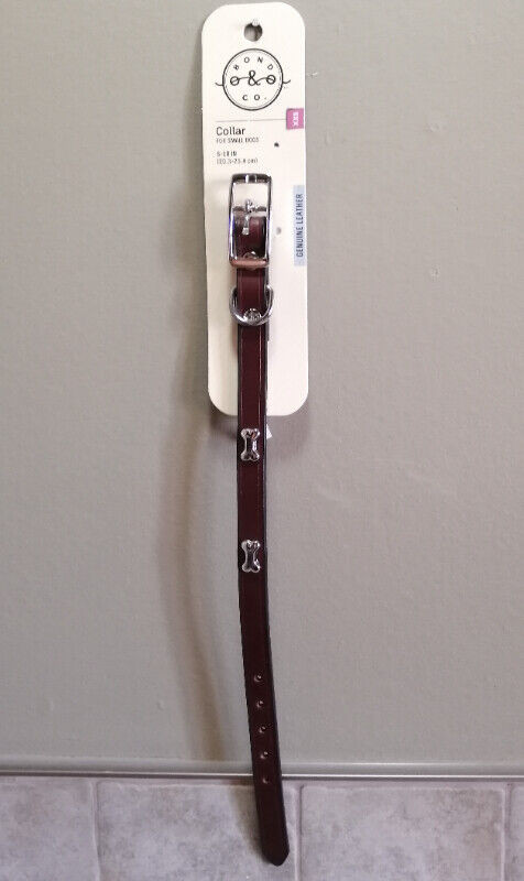 BOND & CO Brown Leather Collar for Small Dogs in Accessories in Bedford