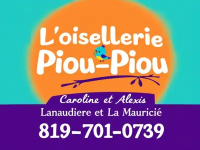 plusieurs petits perroquets, View more