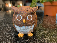 Home Grown by Enesco Coconut Owl Collectible Figurine 4022978