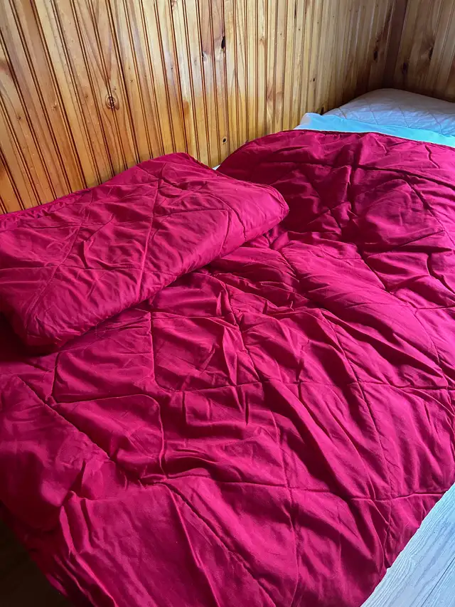 Comforters and blankets double and single $20 each in Bedding in Peterborough - Image 4