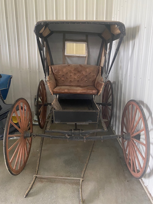 Horse drawn Doctor carriage Equestrian & Livestock Accessories