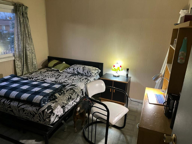 Room for rent in Malton from June 2024 in Room Rentals & Roommates in Mississauga / Peel Region