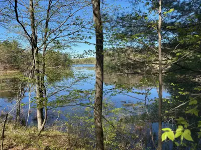 Looking for your piece of rugged Eastern Ontario wilderness? This 11+ acre parcel on Little John Sis...