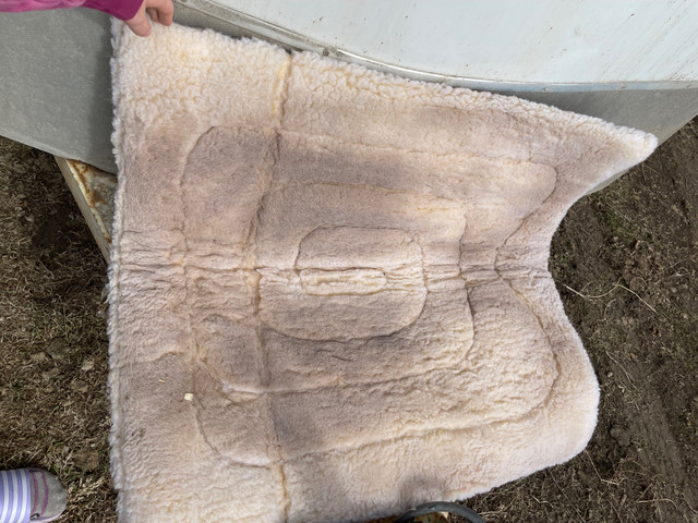 Western saddle pad in Other in Kamloops - Image 2