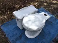Toilet.  (free)