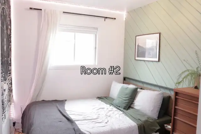 Je cherche un/e coloc. Looking for a roommate. in Room Rentals & Roommates in City of Montréal - Image 3