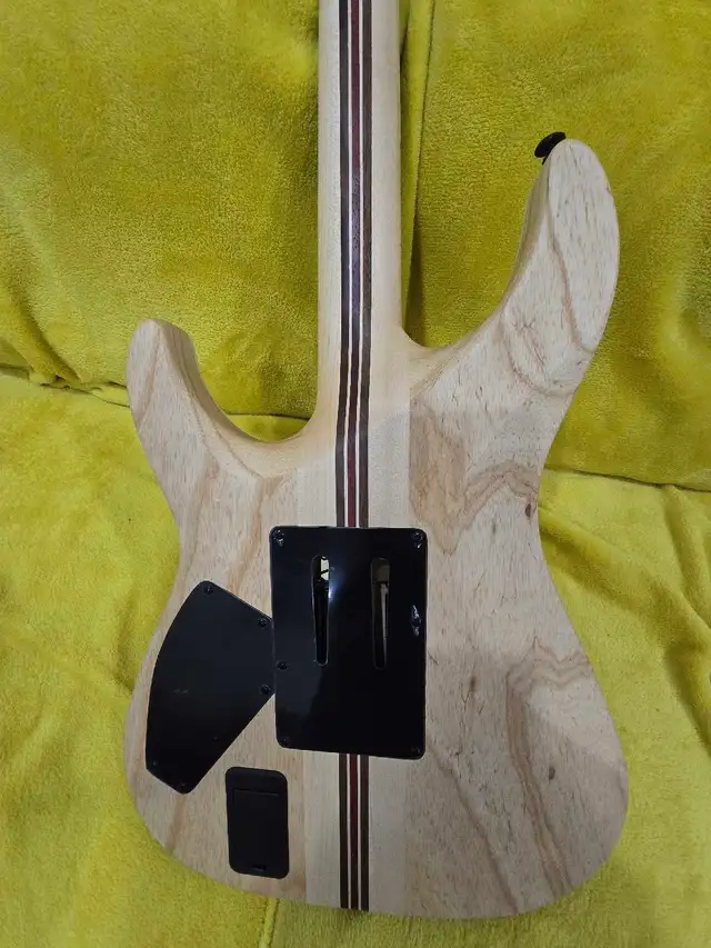 Schecter C-1 SLS Elite FR AFB electric guitar in Guitars in Markham / York Region - Image 10