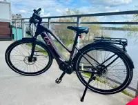 Vélo électrique Hybride Giant Liv Amiti E+2, haut de gamme