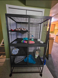 Ferret, chinchilla, rat, small animal cage