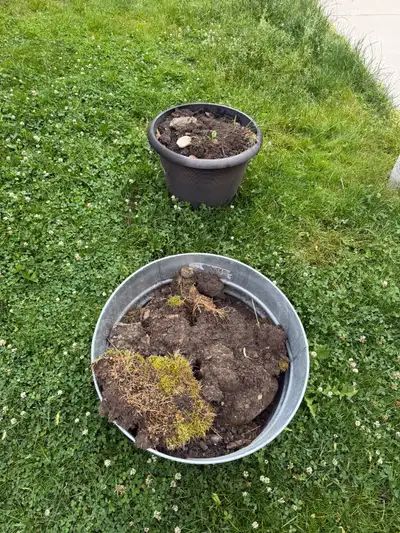 FREE Clean Fill / Soil & Small Rocks (Leslieville), View more