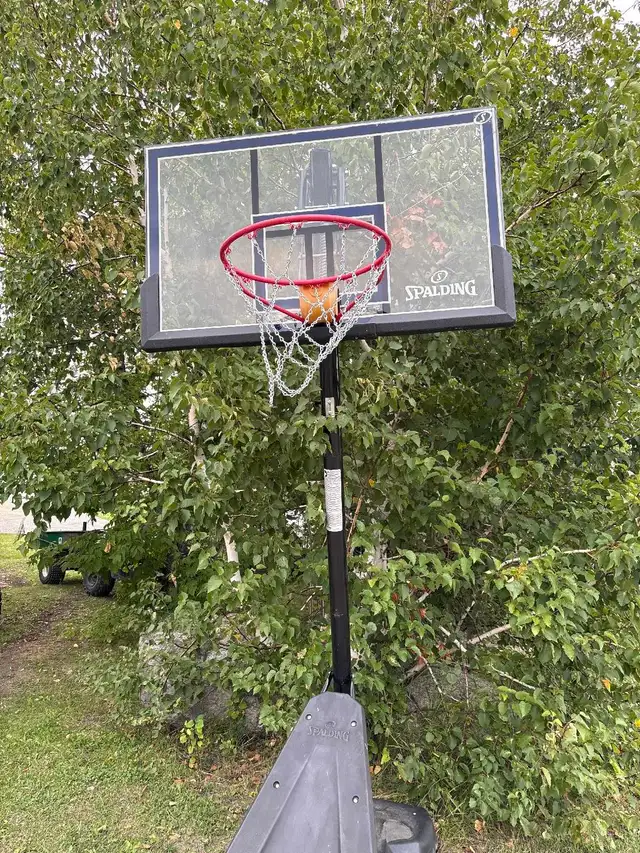 Basketball