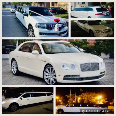 LIMOUSINE FOR BLUE JAYS GAME RAPTOR GAMES CONCERT NIAGARA LIMO, View more