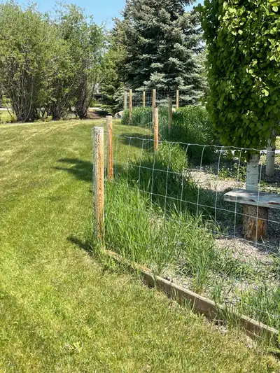 Approximately 100-120’ of dog run fencing. Posts, 2 gates, and page wire. Free. Must remove yourself...