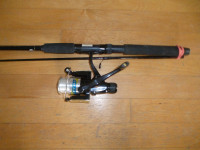 Canne moulinet a peche achigans, dore etc, Shimano, Fishing rod