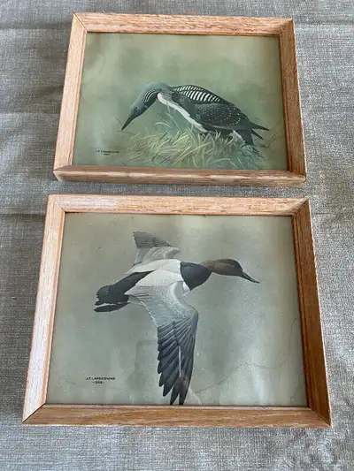Vintage J Fenwick Lansdowne Bird Prints, View more