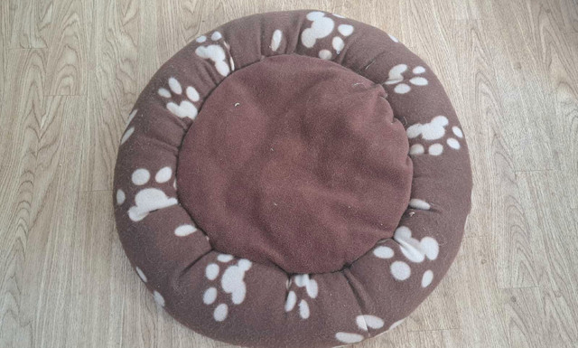 Cat/Small Dog Beds in Accessories in Peterborough - Image 3