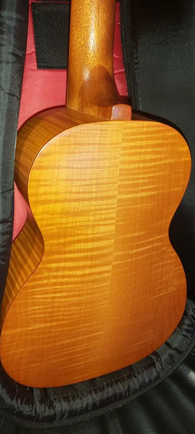 Ukulele + Padded Bag (Have several) in String in Lethbridge - Image 5