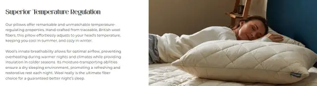 *Brand New King Size Deluxe Washable Wool Quilted Pillow Cover F in Bedding in St. Catharines - Image 6