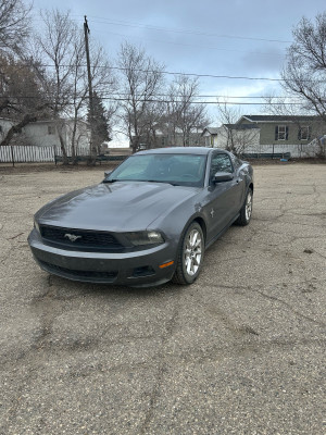 2010 Ford Mustang Base