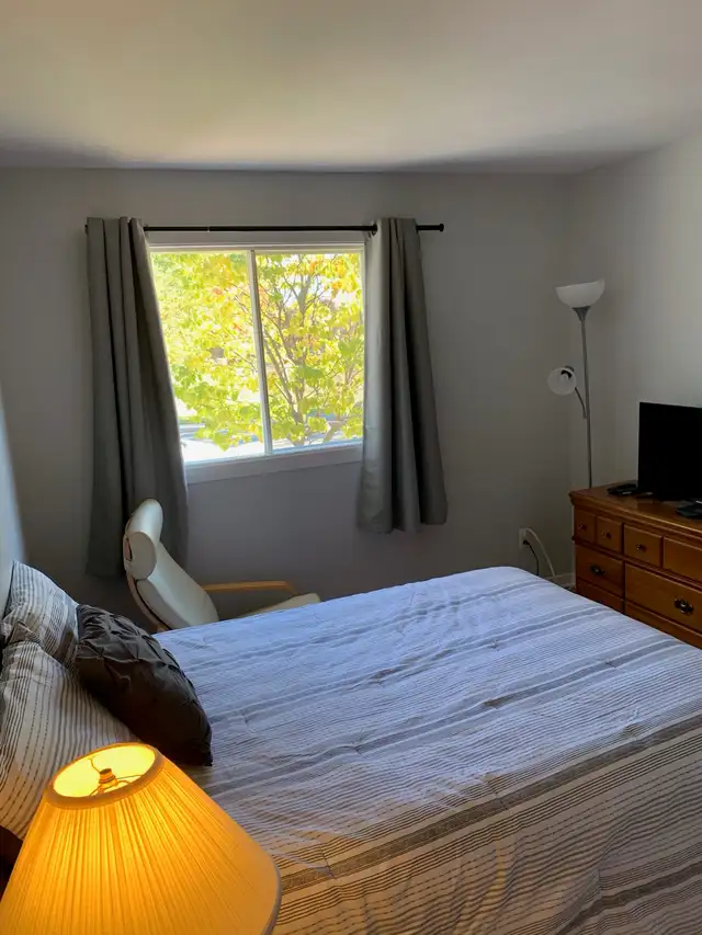 Chambre à louer