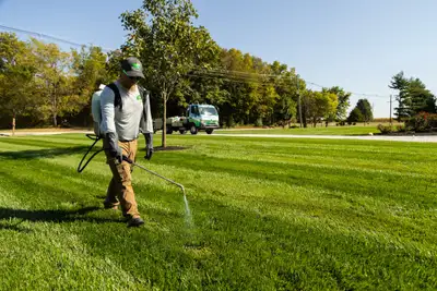 Professional Weed Spraying Service , View more