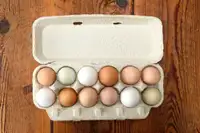Farm Fresh Organic Eggs. Our eggs are produce from happy hens