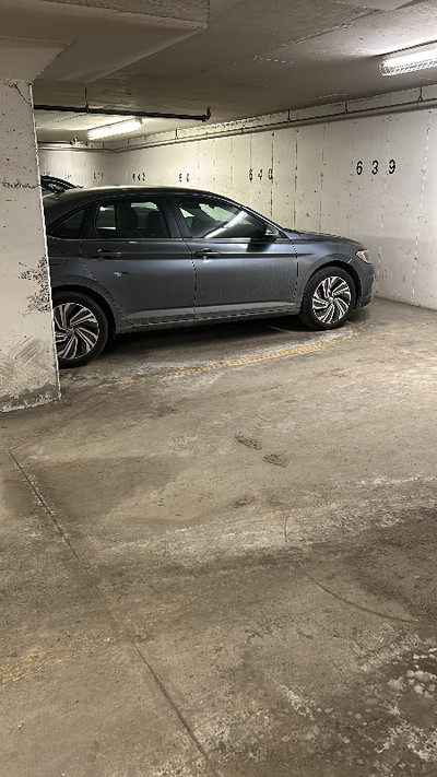 Vw jetta 2022 rental