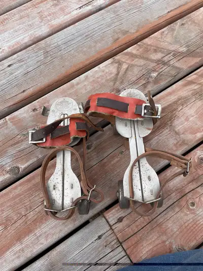 Patin a roues , View more