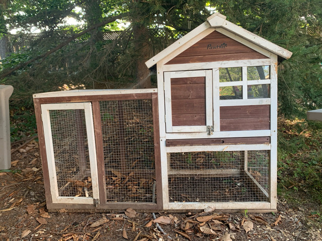 rabbit & hutch for sale (selling as a set)  in Small Animals for Rehoming in Hamilton