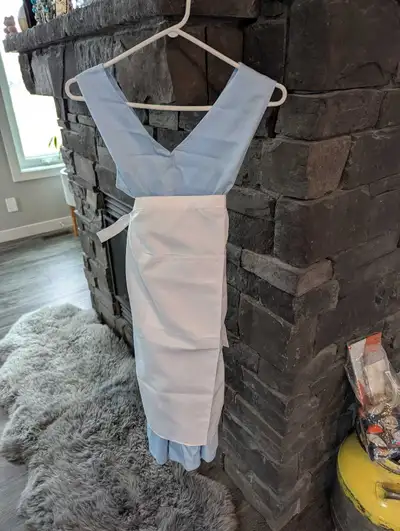 Cinderella costume , View more