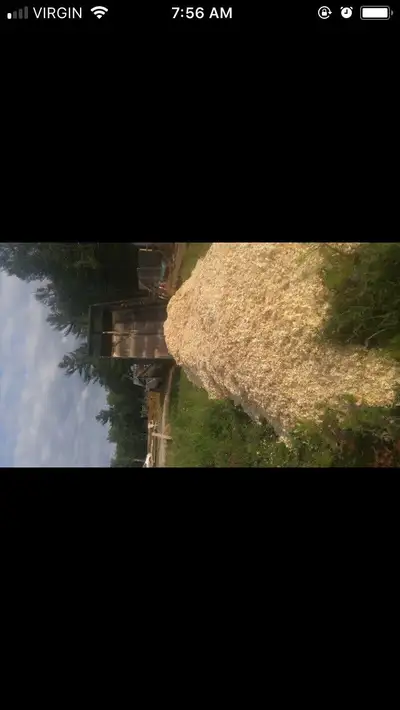 Dry or wet wood shavings, View more