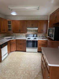 Full Kitchen Cabinets Set