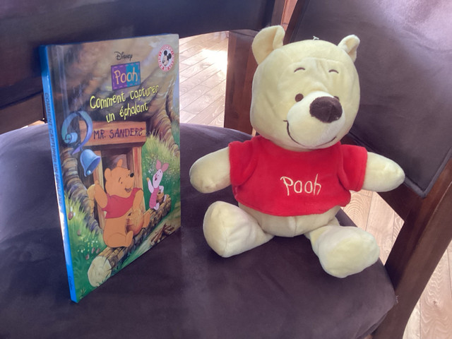 Perroquet 10$ ourson Winnie livre de Winnie 10$ dans Jouets  à Trois-Rivières - Image 3