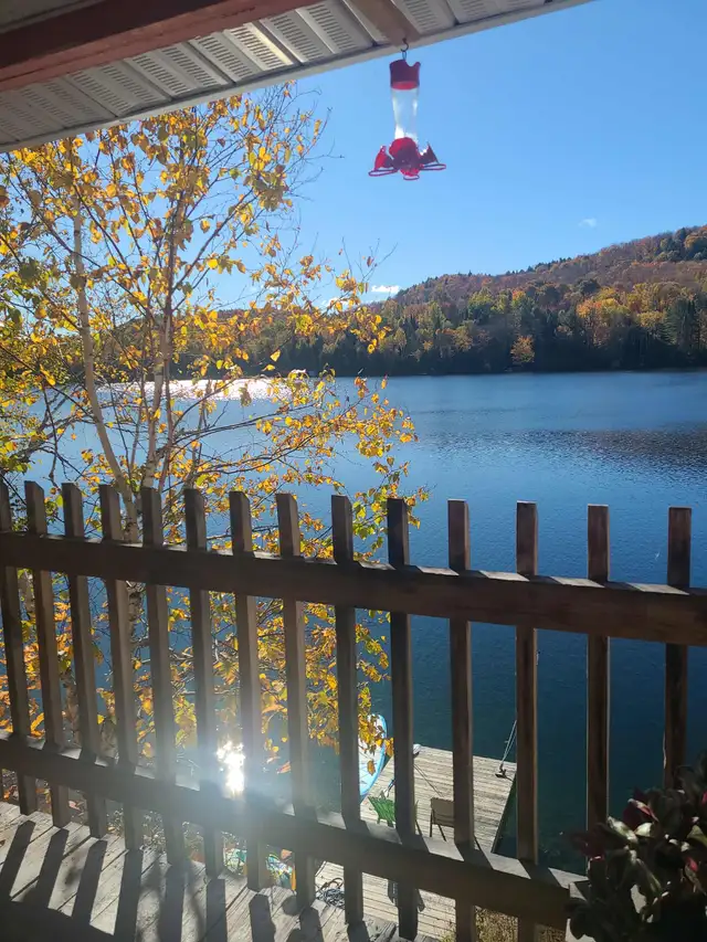 Vue imprenable sur lac privé + bateau & VTT inclus in Houses for Sale in Val-d'Or - Image 9