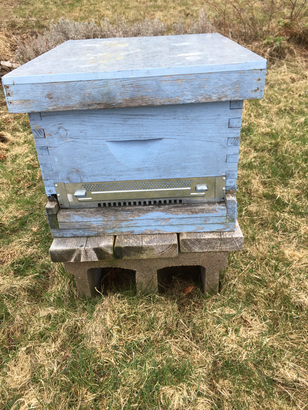 Used beekeeping equipment for sale in Accessories in Charlottetown - Image 2