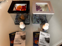 Bocal pour poisson Betta (2 kits)