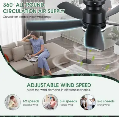 Ceiling Fans with Lights and Remote/APP Control, View more