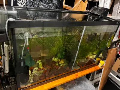 I have a 50 gallon fish tank for sale, it’s no leak, in excellent condition. Pick up from the garage...