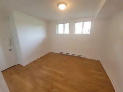 Beau 2 1/2 Rosemont Petite-Patrie