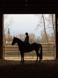 Heated horse boarding and lesson barn close to Birds Hill Park!