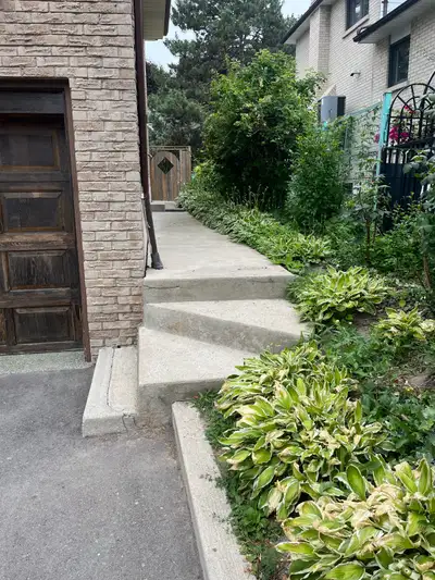 2 bedrooms basement with separate entrance for rent Close to T&T, sunny supermarket, No frills, Fair...