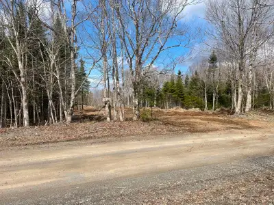 2.2 acre building lot partially cleared will level ready to build on very quiet road will trade for...